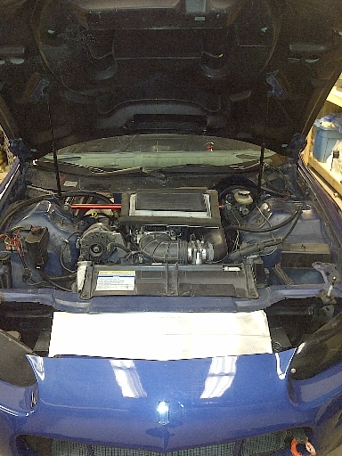 engine bay before.jpg